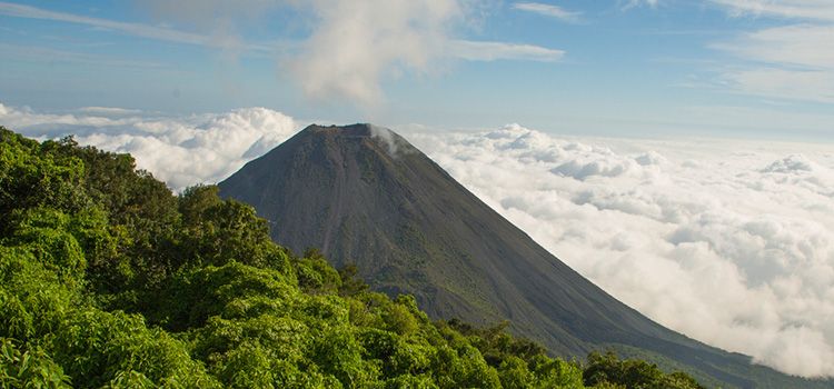 Vulkan Izalco im Nationalpark Cerro Verde in El Salvador