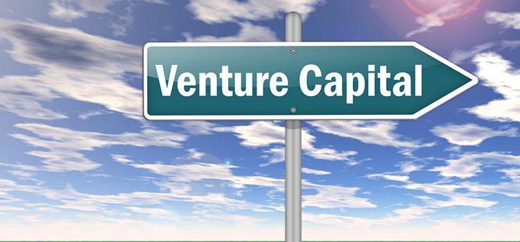 Wegweiser mit Aufschrift Venture Capital