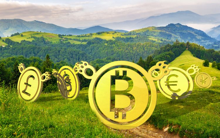 Das Crypto Valley