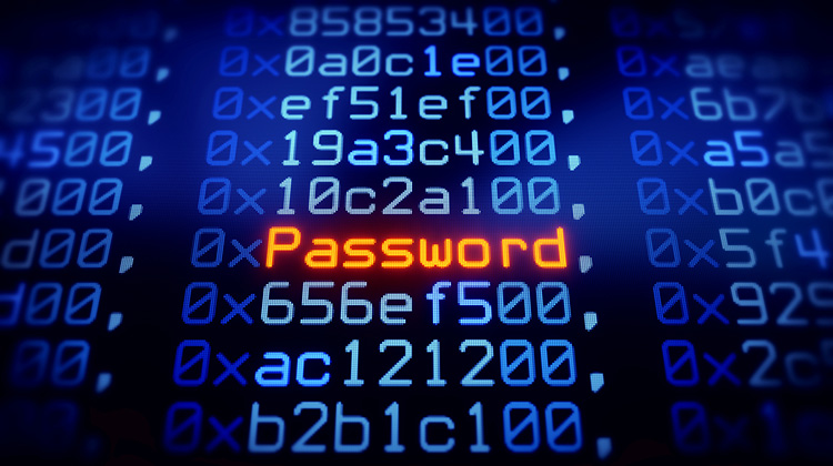 Der Begriff Password in einer virtuellen Umgebung