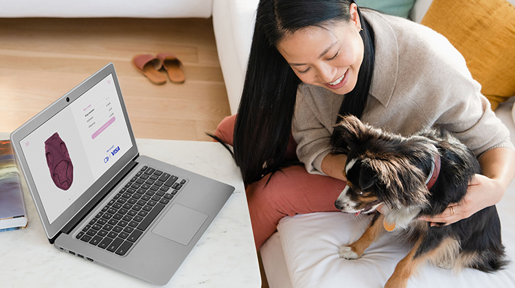 Junge Frau mit Hund auf Sofa beim Online-Shoppen